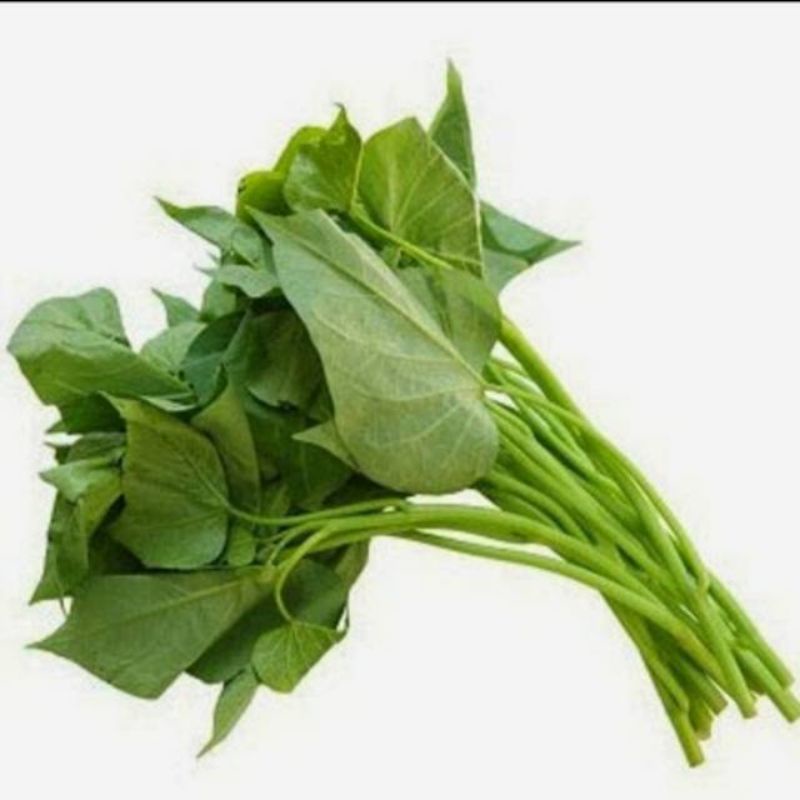 

Daun ubi - per ikat
