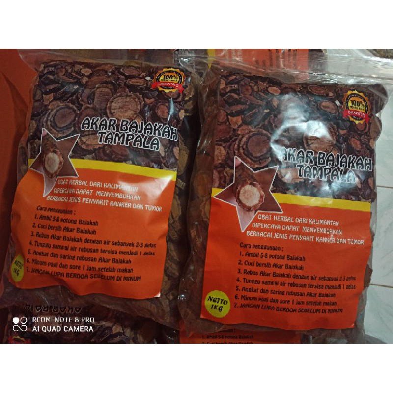 Akar bajakah tampala