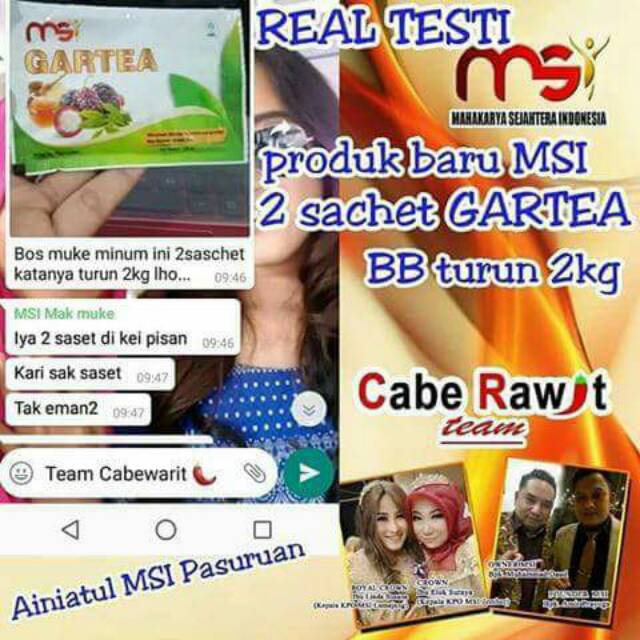 Gartea minuman pelangsing/slimming herbal Msi