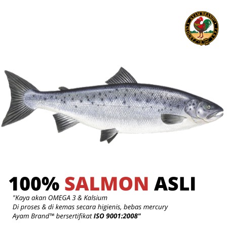 

QH Ayam Brand - Ikan Salmon Kaleng Spread 160gr