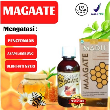 Maagate Madu Original Obat Maag Kronis Dan Asam Lambung Tinggi