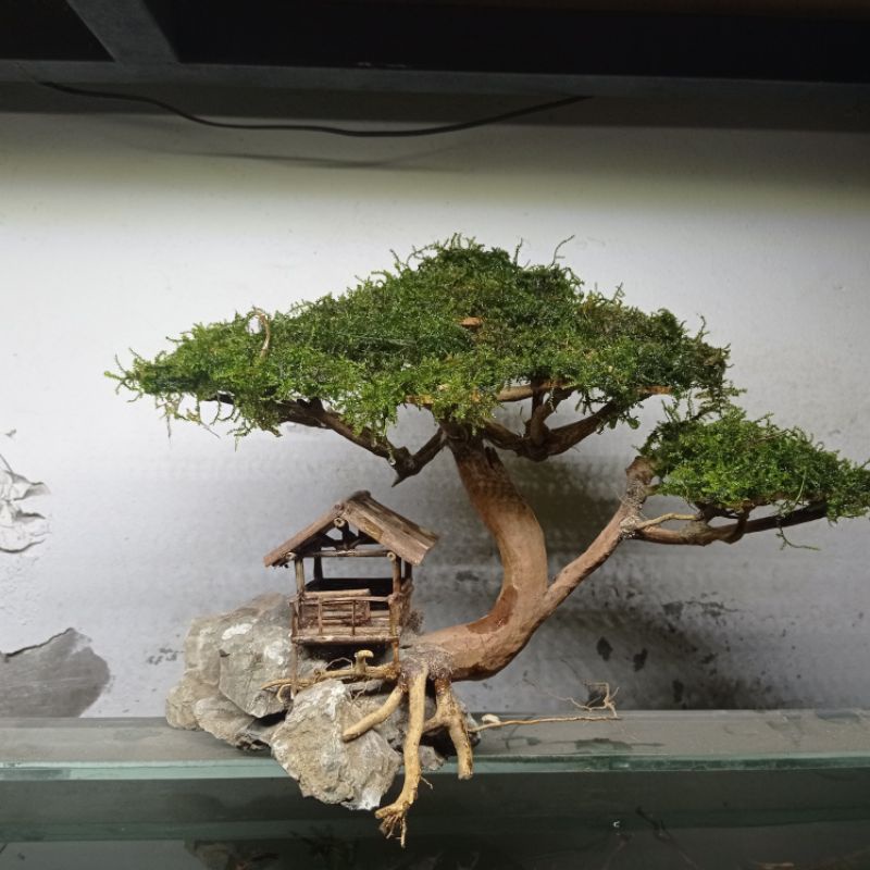 miniatur gubuk /rumah, rumah pohon aquascape