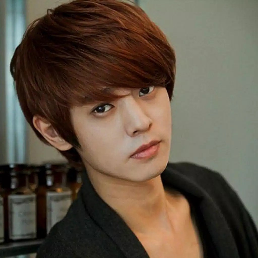 WIG PRIA / WIG LAKI-LAKI COSPLAY / RAMBUT PALSU COWOK / WIG MODEL KOREA