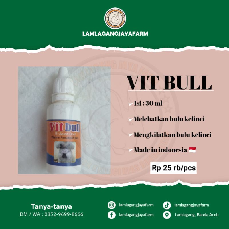 Vitbull - Vitamin penumbuh bulu kelinci