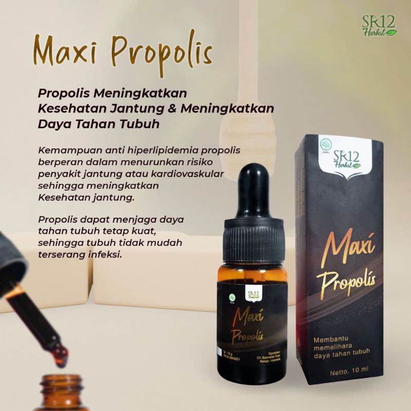 MAXI PROPOLIS SR12 / PROPOLIS SR12 / PROPOLIS