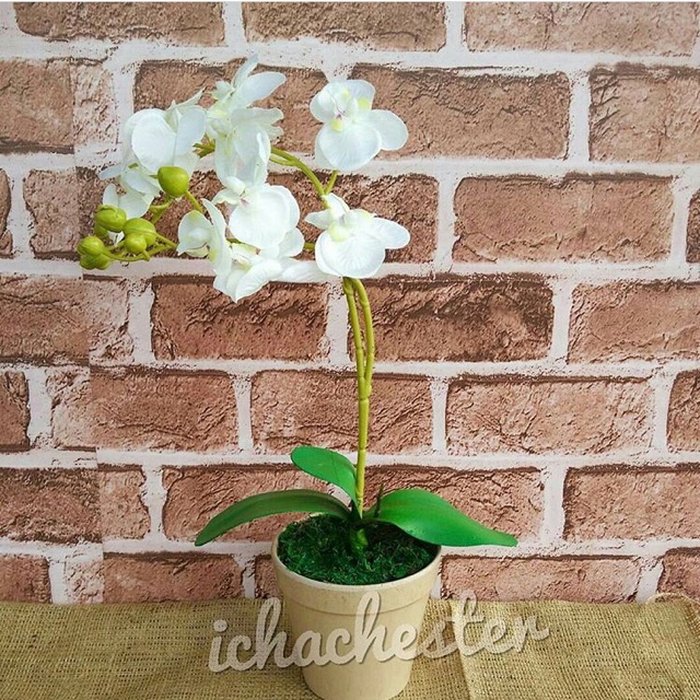ANGGREK ARTIFICIAL ANGGREK PLASTIK