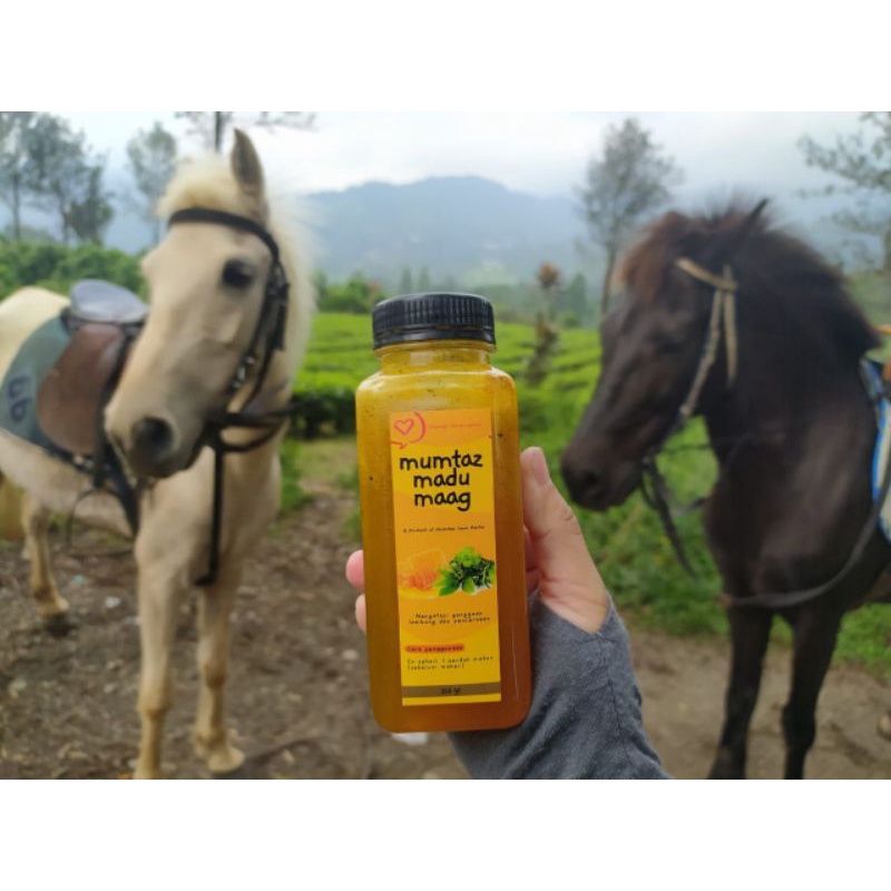 MUMTAZ MADU MAAG (Madu Herbal Maag) 350gr by Java Hills Honey