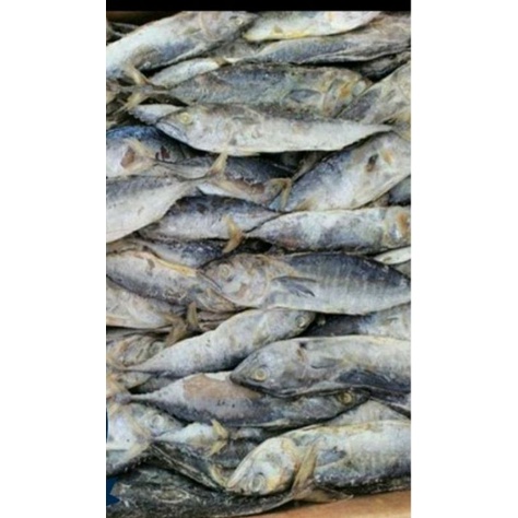

ikan asin tongkol 1kg isi 3