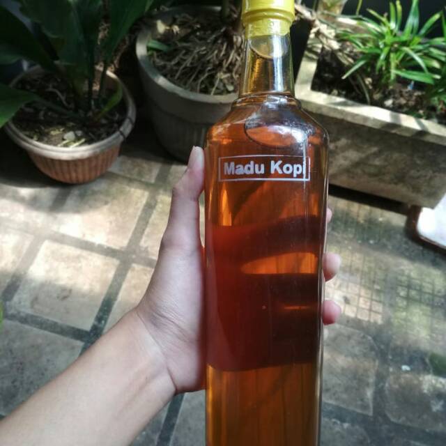 

Madu Bunga Kopi