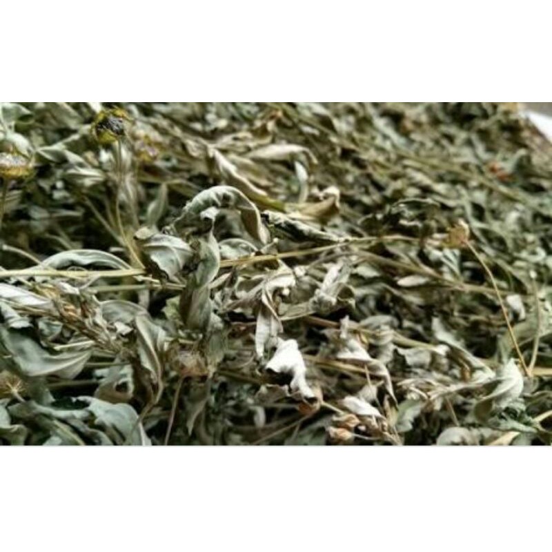 

daun sidaguri kering 400gram