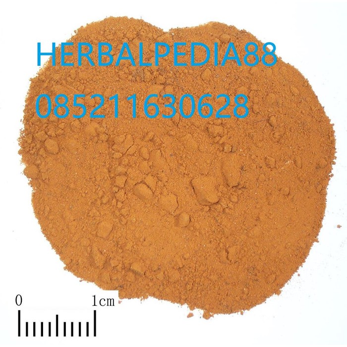 

hai jin sha Lygodii Spora 海金沙 100 gram