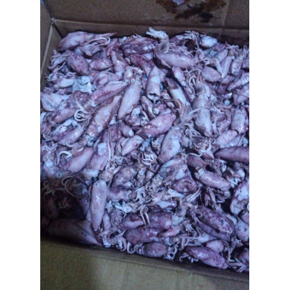 

cumi telur asin rebus 1 kg