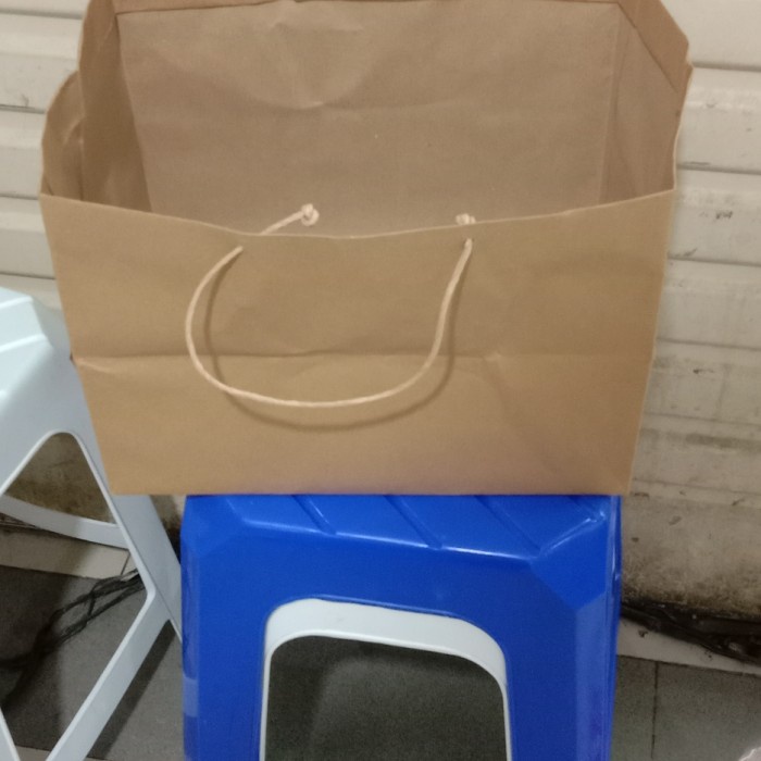 

✨ BISA COD ✨ paper bag 22x32..isi 12