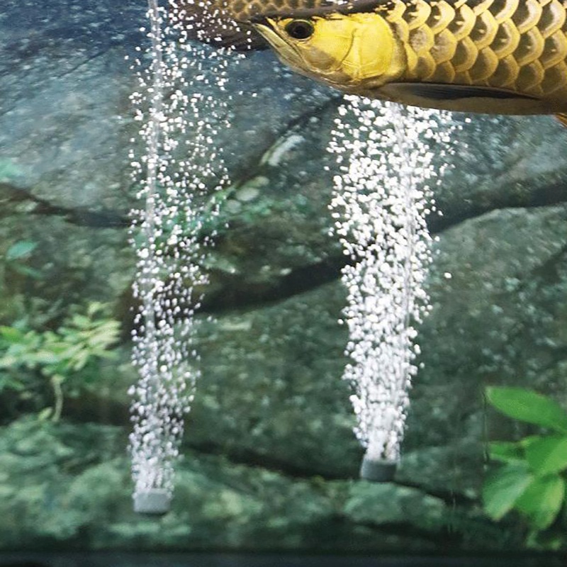 Pompa Aerator USB ac dc Airpump Aerator Usb Pompa Udara Aquarium Portable Pancing FEFARM