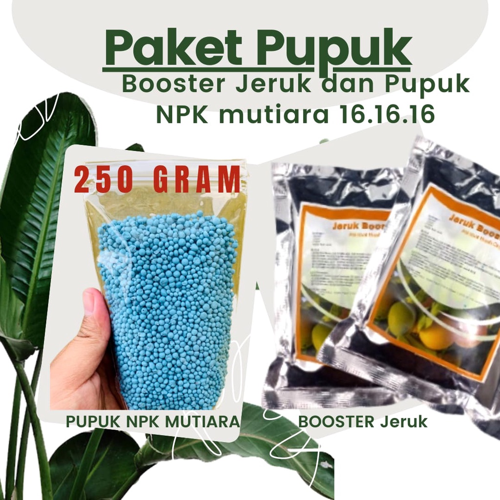 PAKET LENGKAP Pupuk Booster Pelebat Buah  Pohon JERUK Plus Pupuk NPK Mutiara 16.16.16 250 gram //  P