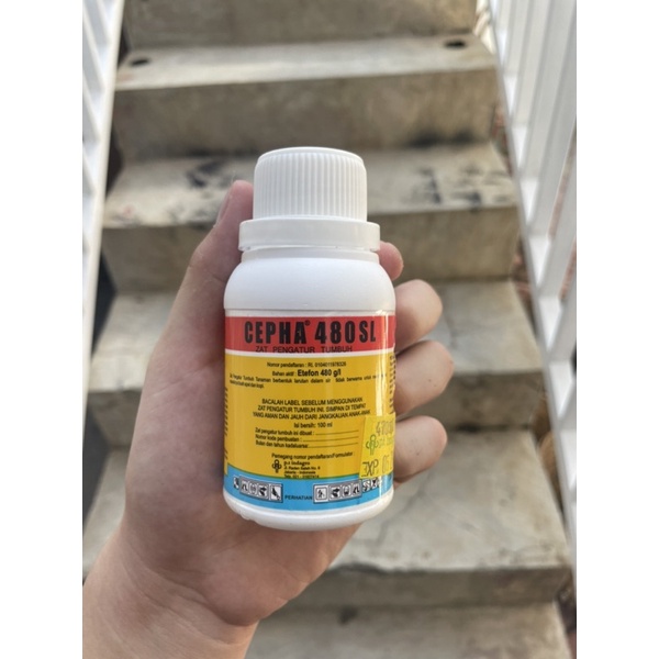 Cepha 100ml 480SL