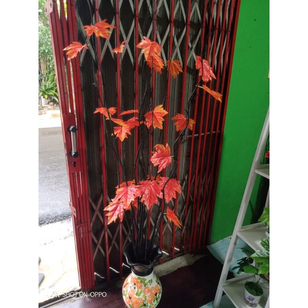 10 batang bambu ulir lengkap daun maple