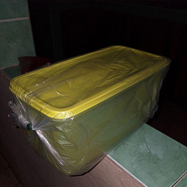 Fresh Lime Collection Satuan Stack N Stor (1 Pcs) Penyimpanan Di Kulkas Tupwr