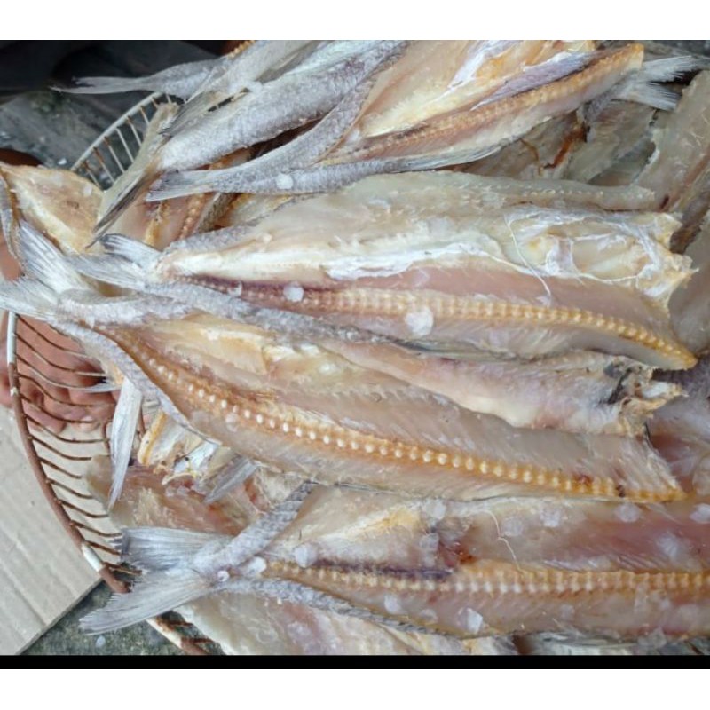 

Ikan Palu-palu 250 gram