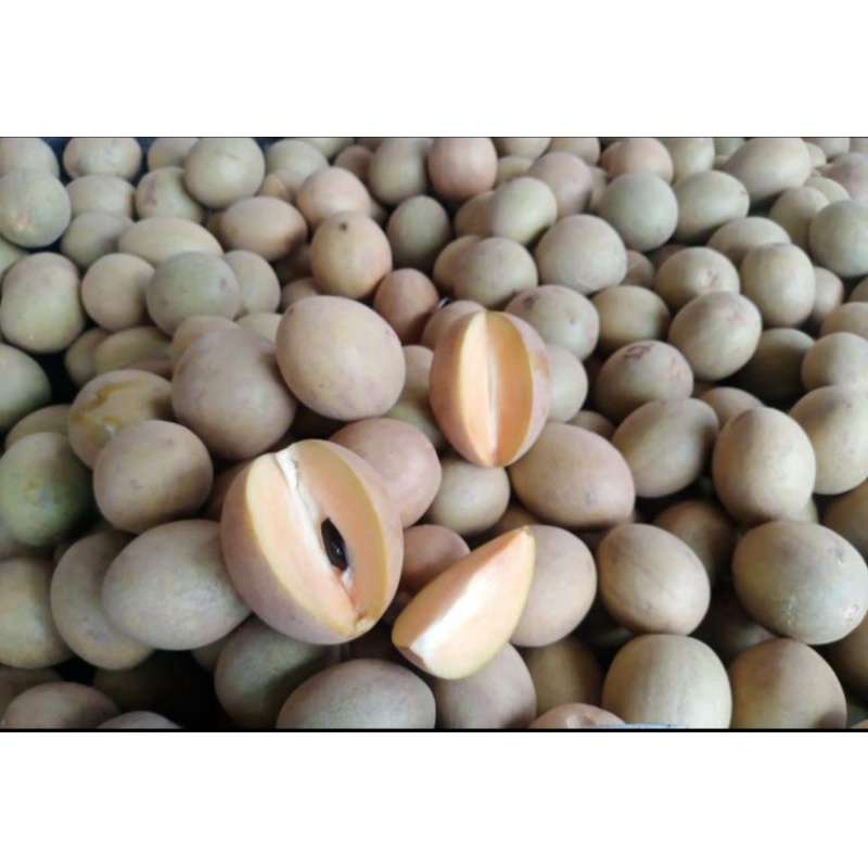 

buah sawo madu