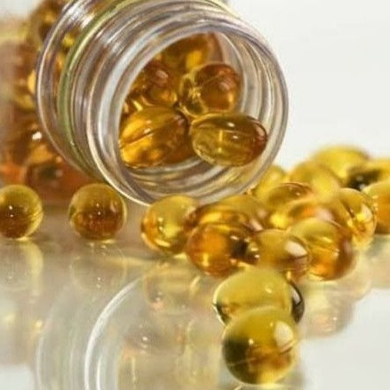 Vitamin minyak ikan untuk kucing anjing ecer 10 butir