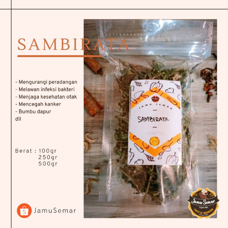 

Sambirata / Sambiloto