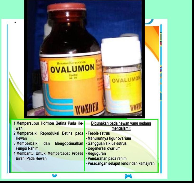 Koleksi Terbaru.. OVALUMON 20ML OVALUMON 5ML OVALUMON OBAT BIRAHI OVALUMON KUCING UNTUK BABI SUNTIK 
