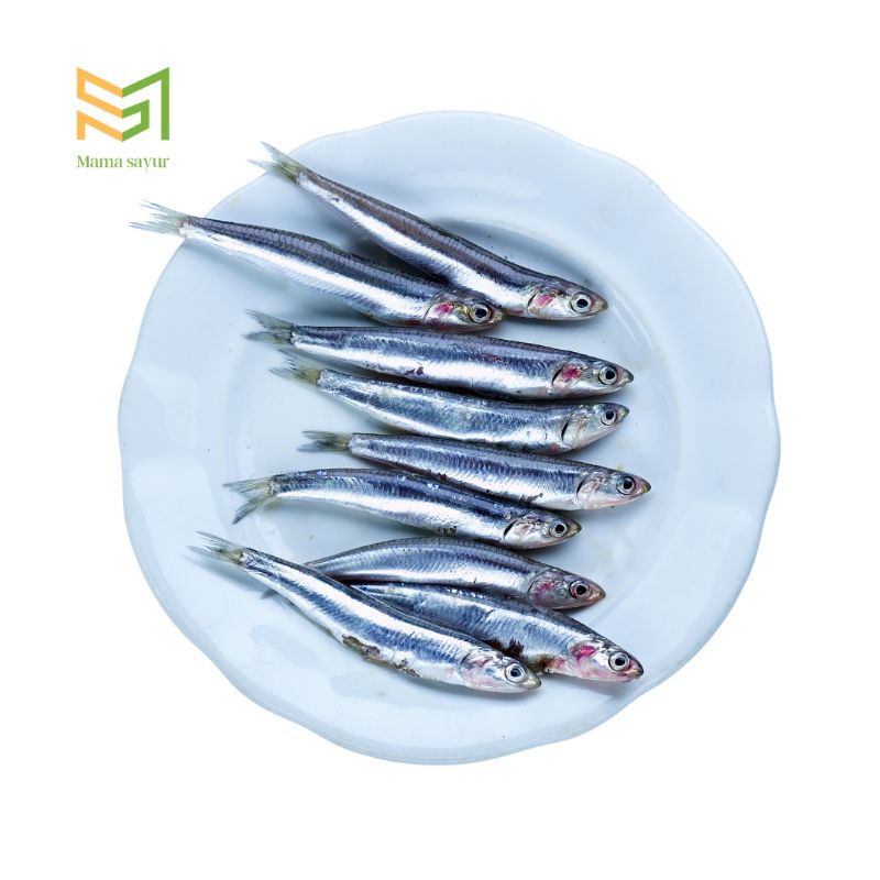 

Ikan mairo segar per pack