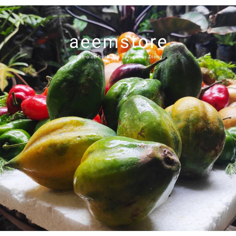 

Buah carica dataran tinggi Dieng