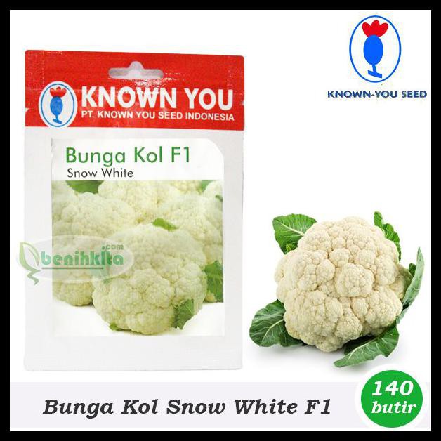 BENIH/BIBIT BUNGA KOL SNOW WHITE F1 (KNOWN YOU SEED)