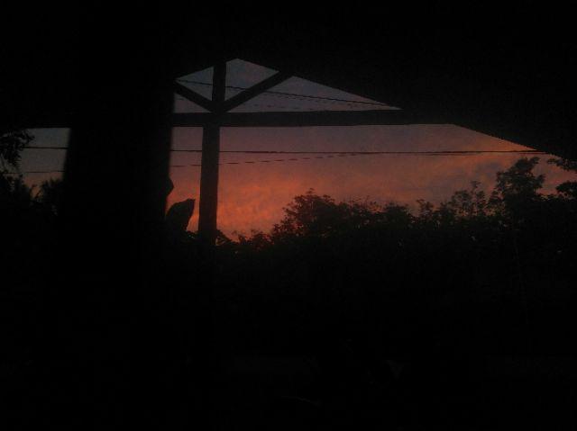 Kuas Kue Silicon - Food Brush Silicon