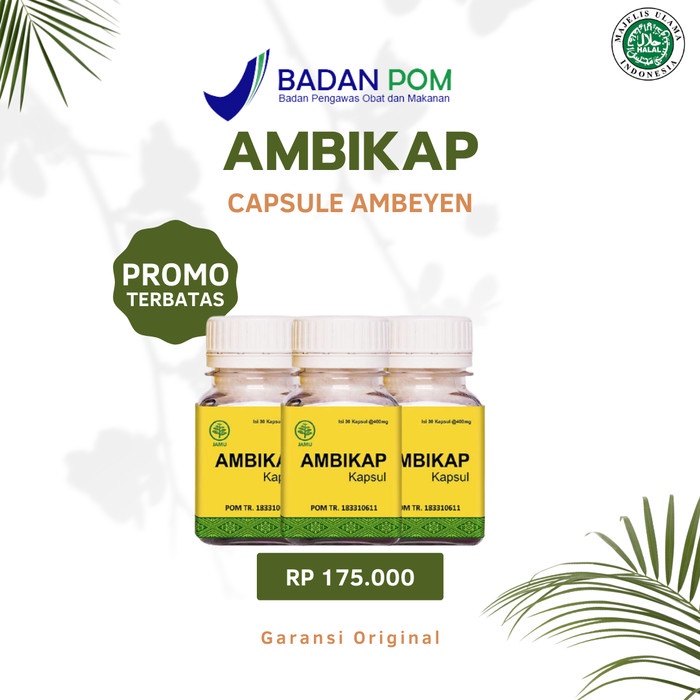 

AMBIKAP HERBAL - mengatasi sakit ambeyen wasir susah BAB dan varises