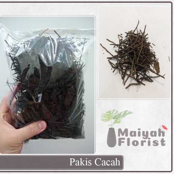 Pakis Cacah 500 Gram