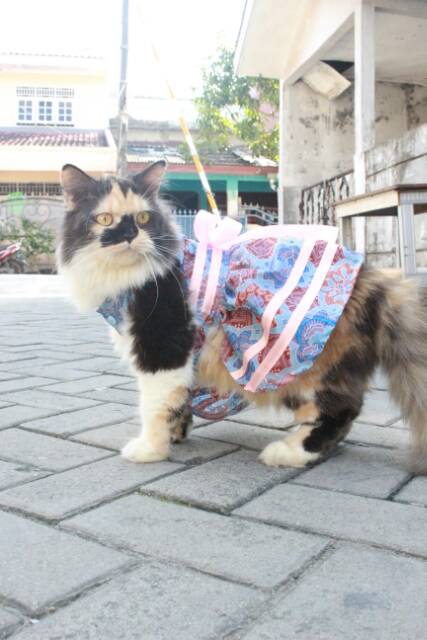 Dress batik biru bunga merah / dress kondangan lucu untuk kucing / baju kucing murah size S M L XL