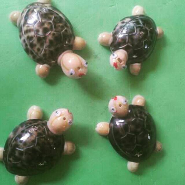 gantungan kunci kerang  kura kura souvenir resin cangkang 