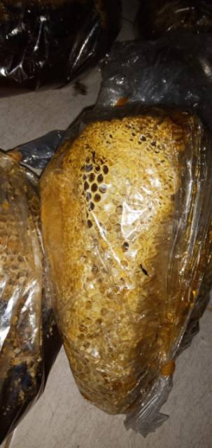

Madu sarang Hutan sialang 500gr