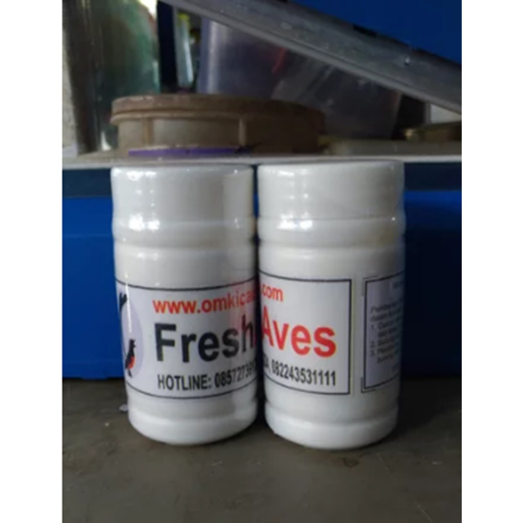 FRESH AVES - OM KICAU