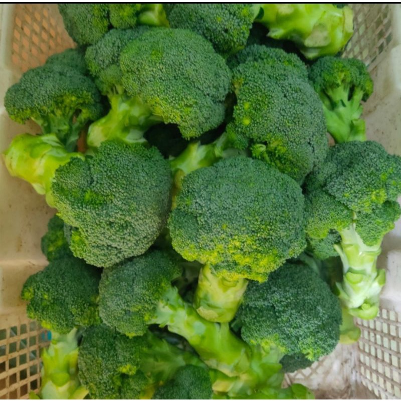 

Sayuran Brokoli Hijau Fresh