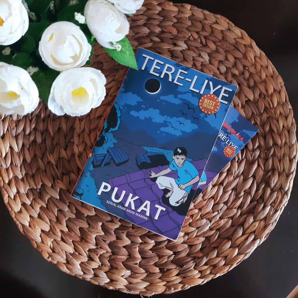 Preloved Novel Pukat - Tere Liye