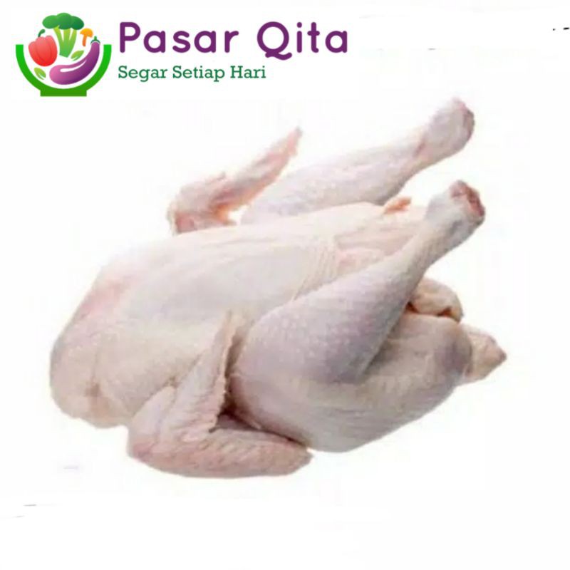 

Ayam Negeri Utuh Segar - Per 1 Ekor ( Pasar Qita )
