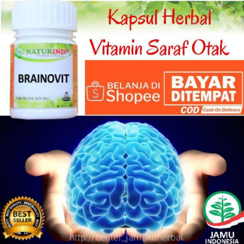 HERBAL NUTRISI SYARAF OTAK BRAINOVIT NATURINDO.HERBAL ALAMI VITAMIN OTAK