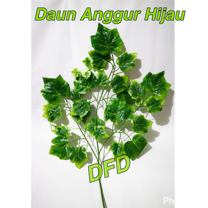 Daun ANGGUR Dekorasi Pelaminan/pernikahan / Daun Sintetis Plastik Anggur Hijau