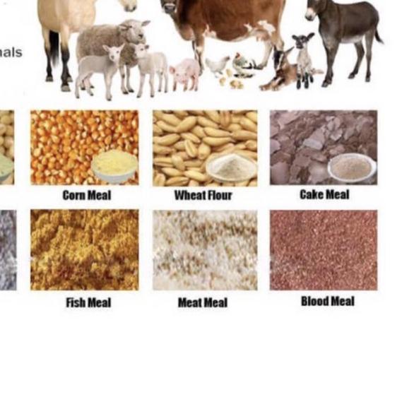 ☀ Tepung Kulit Sotong Halus kemasan 1 kg -proses cuci bersih/ Tepung Sotong Campuran Pakan Ternak Ka