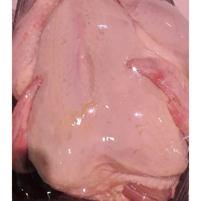 

ayam boiler utuh fresh pack