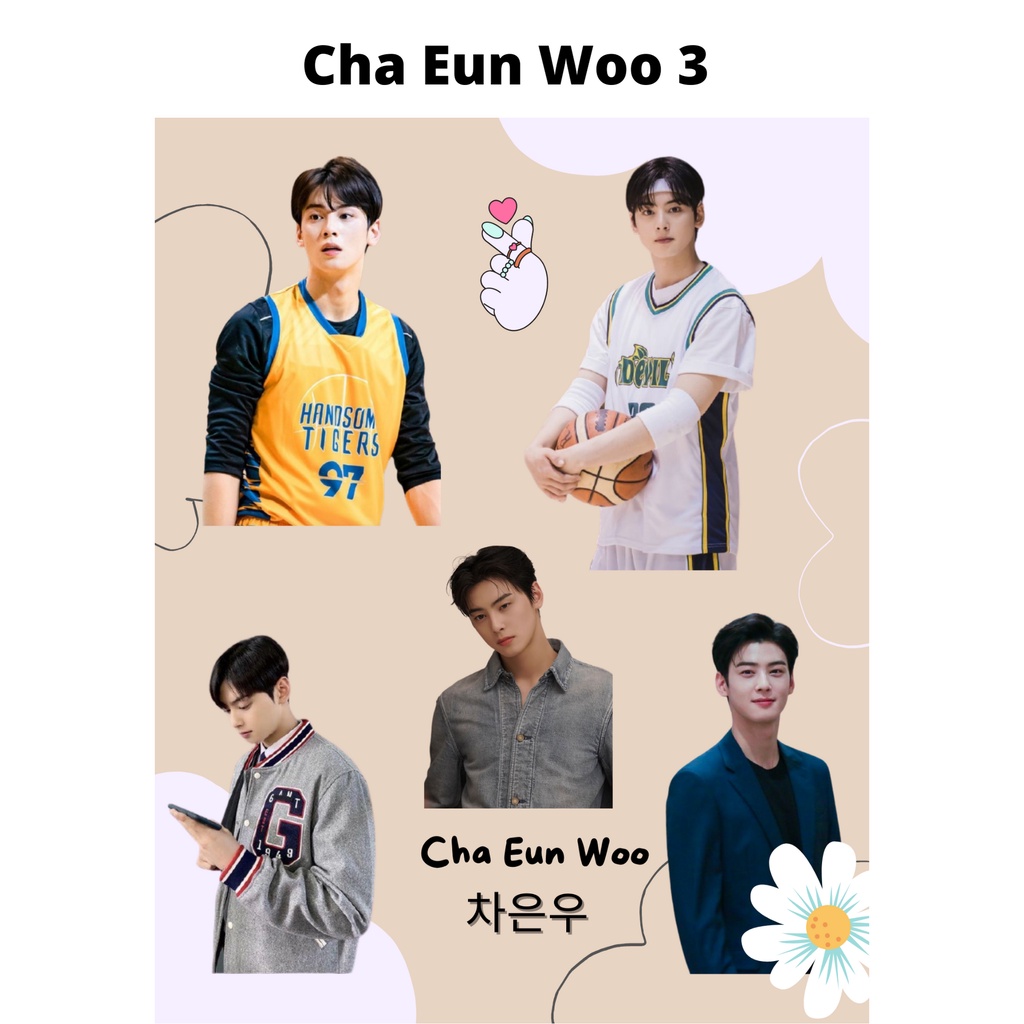 Sticker Drama Korea Sticker Kpop Sticker Laptop Sticker Cha Eun Woo Murah Aesthetic Lucu