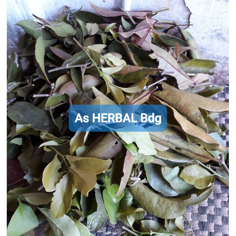 

JUAL benalu cengkeh segar 500 gram fresh-az