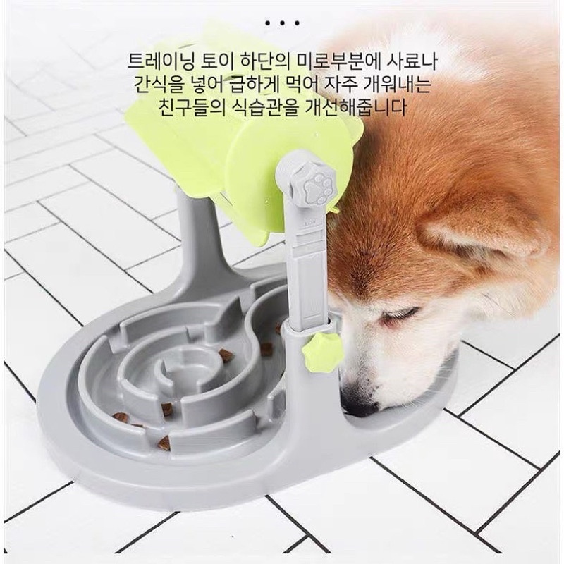 Speedy Pet Smart IQ Toy &amp; Slow Feeder