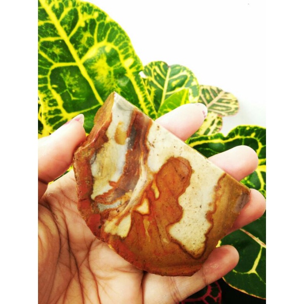 LEMPENGAN batu akik jasper gambar cicak klawing 100% original  full mantap