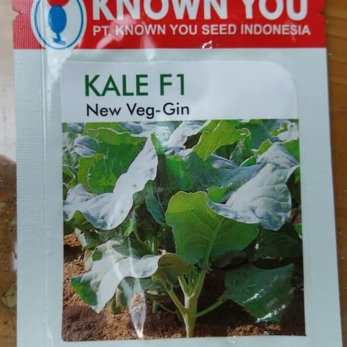 BENIH KALE F1 NEW VEG-GIN KYS