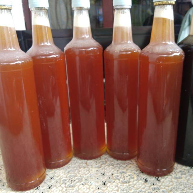 

Madu klanceng Madu biasa